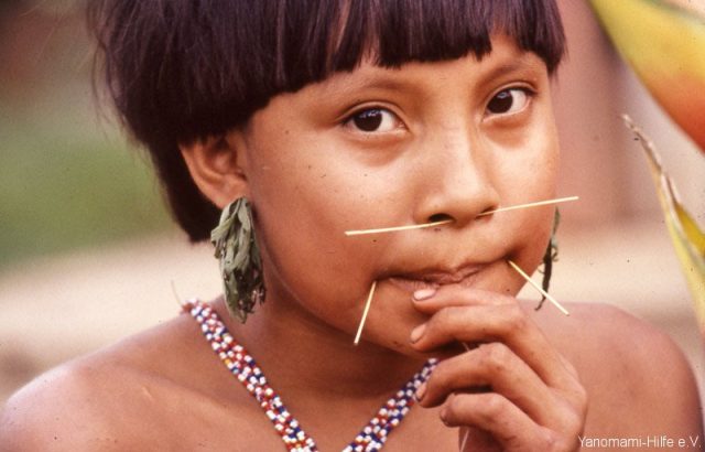 Acciones Y Proyectos Yanomami Hilfe E V