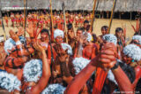 Les Yanomamis se mobilisent de plus en plus