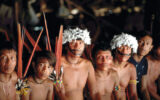 Les Yanomamis sont très inquiets